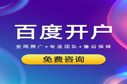XX行业竞价广告的投放策略与效果分析